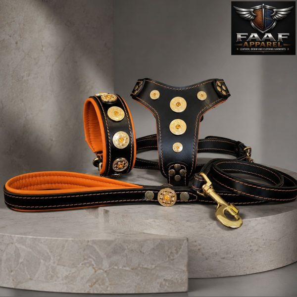 Custom Dog Gear  set, black leather harness, collar, and leash decorated with gold-toned hardware.